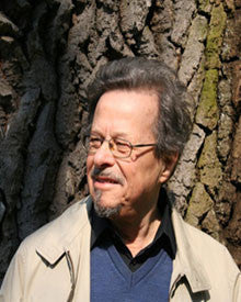 Ivan Erőd